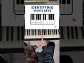 Is it REALLY that SIMPLE?? Identifying White Keys - Piano Lesson