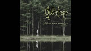 Goblintropp - The sprites of the elder woods