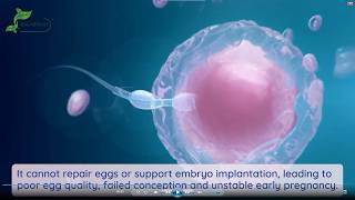 Taking Folic Acid With No Pregnancy Success? The MTHFR Truth Fertility Specialists Want You to Know
