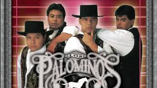 Download Lagu Los Palominos- La Carta Que Nunca Envie MP3