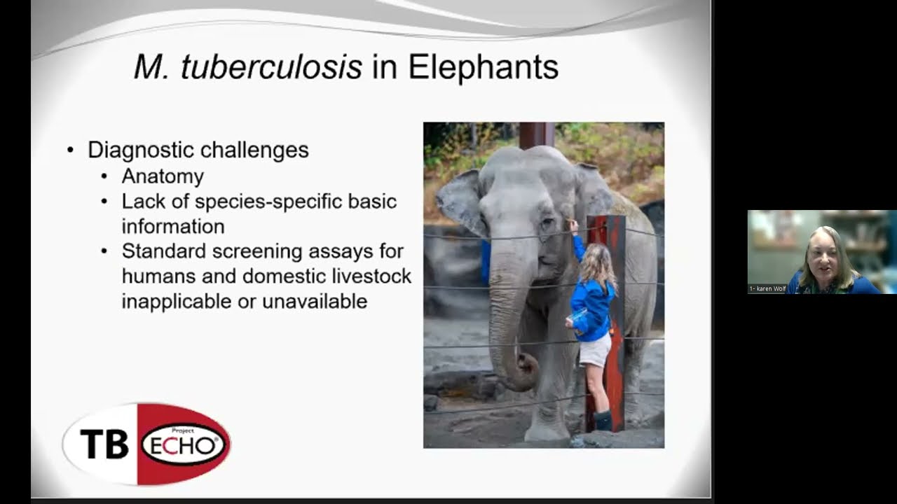 Karen Wolf, Diagnosis and Management of Tuberculosis in 2 Asian Elephants: 2/13/2024
