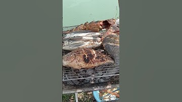 cá rô phi nướng ngon lắm mọi người #cauca #fishing #caucathugian #câucá #xuhuongyoutube #xuhuong24h