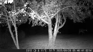 2025 — DSCF1214