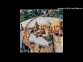 Migos - T -Shirt (Audio)