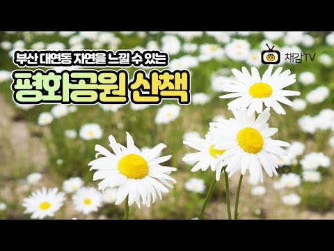 [채감TV] 5월의 부산 평화공원 산책