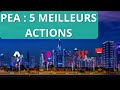 Pea  5 actions  forts potentiels 