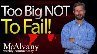 The Feds 4 Trillion Trap Too Big Not To Fail Mcalvany Commentary 2014