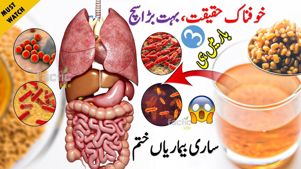 Methi Dana Ko Kaise Khaye Methi Dana Kitna Khana Chahiye Khali Pet