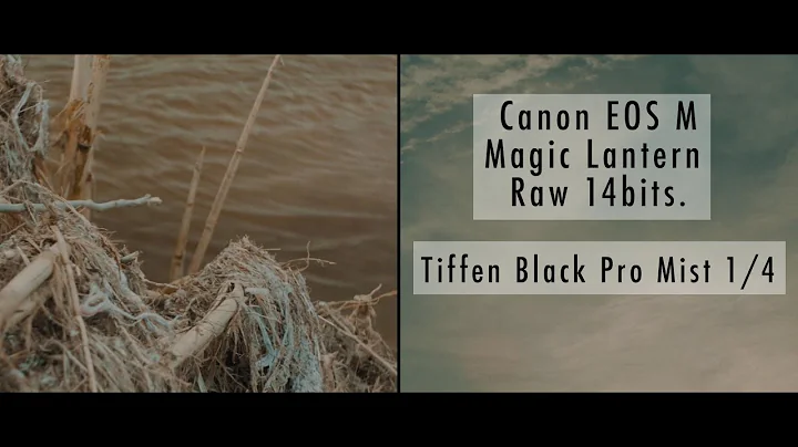 Canon EOS M - Magic lantern Raw 14 bits + Tiffen black pro mist 1/4