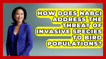 How Does NABCI Address The Threat Of Invasive Species To Bird Populations? - Bird Watching Diaries