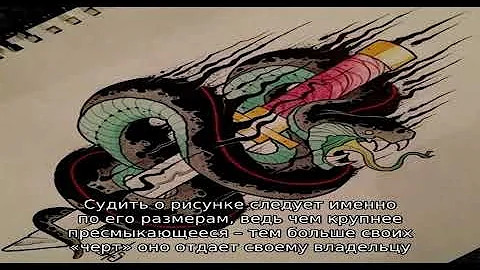 Что означает тату змея на руке, кисти, пальце, плече, шее, ноге, бедре, спине, животе, лобке, пояс.