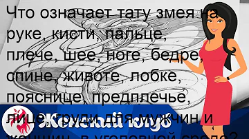 Что означает тату змея на руке, кисти, пальце, плече, шее, ноге, бедре, спине, животе, лобке, пояс.