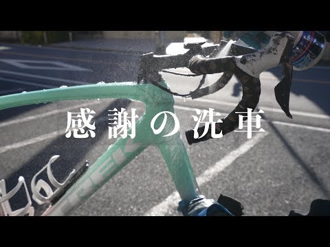 ロードバイク　手渡し限定おまけ多数！　三重県 丸石 ロードエース 700×32C 25年モデル | サイクルワークス