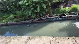 FILM HATIKU BUKAN PUALAM PENGEN BANGET DI DONLOD TAPI GA ADA FILE NYA(2)