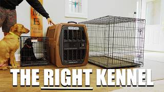 The BIGGEST Puppy Crate Mistake New Owners Make