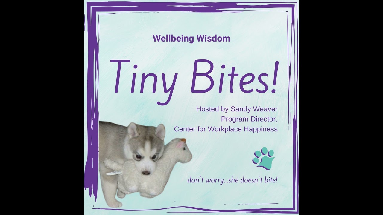 Wellbeing Wisdom Tiny Bites - What's Your Definition of Success?