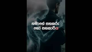 The Hidden Psychology Behind Extra-Marital Affairs 😮|අනියම් සම්බන්ධතාවයක මනෝවිද්‍යාත්මක අඳුර #shorts