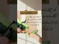کھیرا کے چھلکے بھی بے شمار کام آتے ہیں