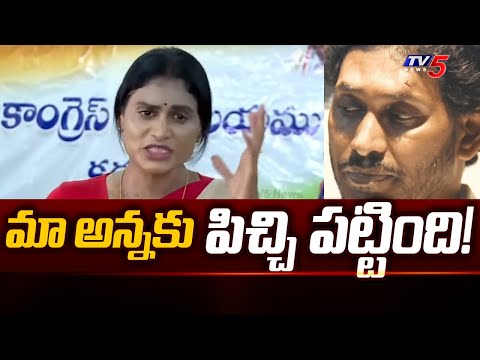 మా అన్నకు పిచ్చి పట్టింది! | YS Sharmila Reddy Sensational Comments on YS Jagan Health | TV5 News - TV5NEWS