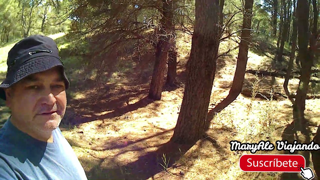 Bosque Encantado, Pehuen Co, Buenos Aires, Argentina YouTube