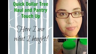 Quick Dollar Tree Haul and Pantry Touch Up| How I used what I bought?