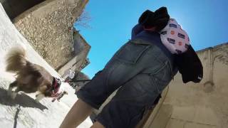 Turismo con Perro. El pueblo de Pedraza (Segovia) desde la visión de Fuyur