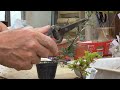 ミニ盆栽の作り方