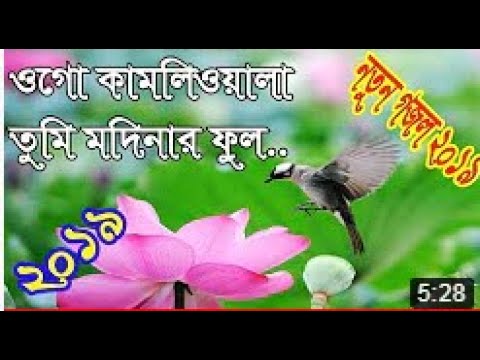           Bangla New Islamic Song 2019  JIS TV