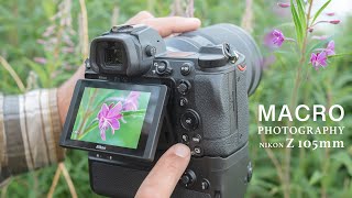 MACRO PHOTOGRAPHY with NIKON Z MC 105mm | Bts: best light, tripod vs handheld photography