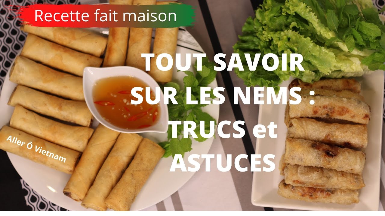 TOUT SAVOIR SUR LES NEMS   TRUCS ET ASTUCES  Aller  Vietnam