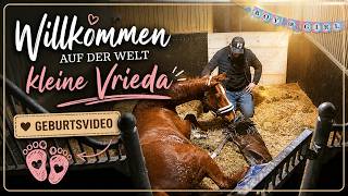 Willkommen auf der Welt kleine Vrieda (Geburtsvideo)
