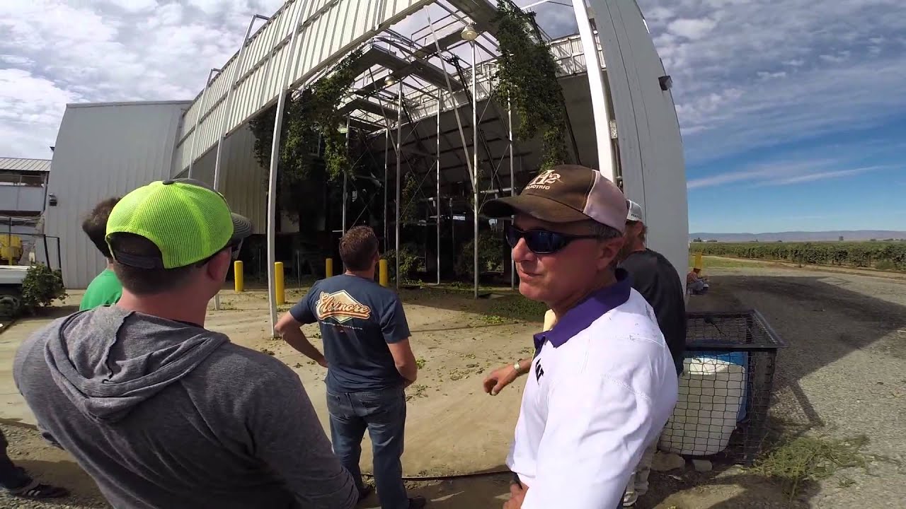 The Proof Is In the Brew - Hopsteiner