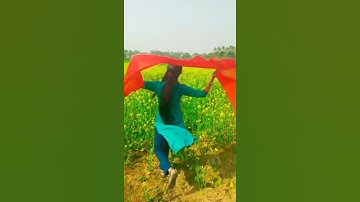 tujhe dekha to ye Jana sanam 🥰 #tending #shortfeed #shortvideo #hindisong #shortsviral