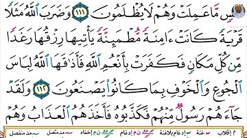 (26) تلاوة بصوت القارئ هزاع البلوشي سورة النحل، الآيات: 111-114