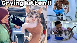 This Injured Stray Kitten Was Crying For Help.. So I Saved Her.
