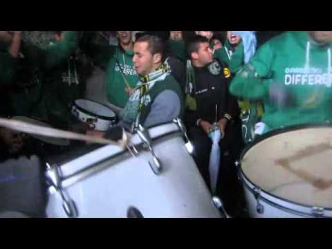 LA BANDA VERDE LOCURA SIN CURA 
