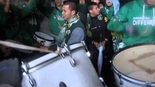 LA BANDA VERDE # LOCURA SIN CURA#