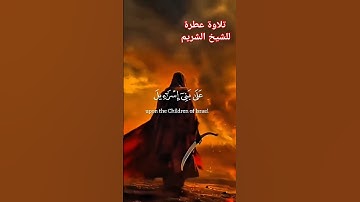 ماتيسر من سورة المائدة #سعود_الشريم #سعود #القرآن_الكريم #المصحف #القرآن #السعودية #لايك #duet
