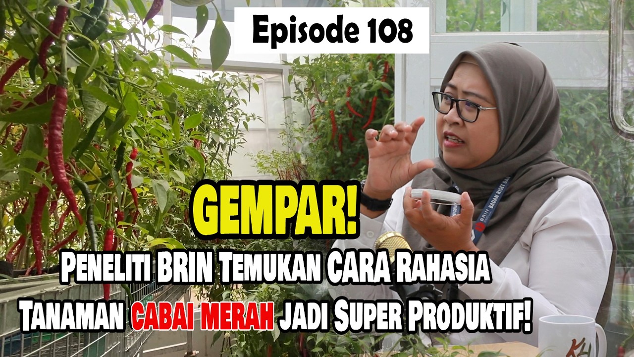 Next-Generation Biostimulan Penyubur Tanaman