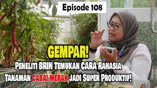 Tanpa Banyak Pupuk Kimia?! Ini Rahasia Tanah Jadi Super Subur