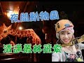 【呼兒旅行Vlog】一個人泰國清邁旅行｜叢林飛索(尖叫聲慎入)🌲、夜間動物園🦒