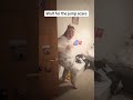 I love scaring teen daughter 🤣#teendaughter #funny #prank #scareprank #scarecam #sofunny