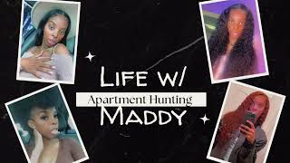 Ironwood Flats luxury Apartments in Tampa Florida
