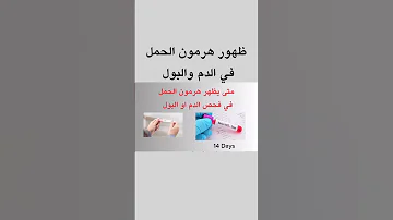 تحليل الحمل في الدم وتحليل الحمل في البول هرمون الحمل 
