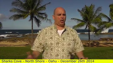 How to read the mind of your buyers in sales - Scott Sylvan Bell