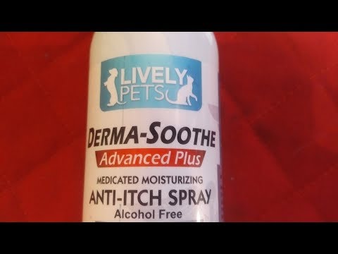 anti-itch-spray-for-dogs-lively-pets-derma-soothe-anti-itch-spray-review-does-it-work?