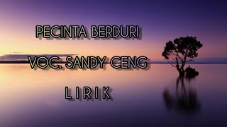 Download lagu Pecinta Berduri Voc. Sandy Ceng  Lirik  mp3