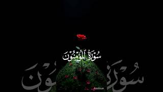 Quran Urdu Translation #quran #guidance #guide #shorts #iman #dua
