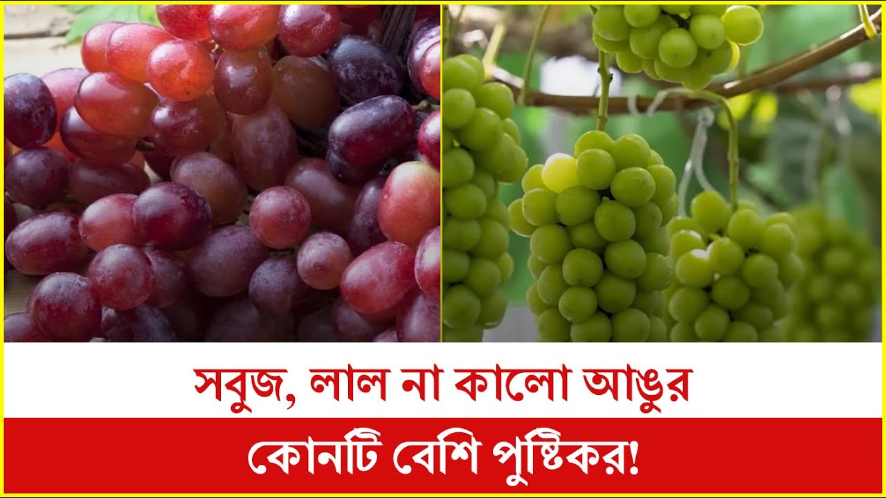 আঙুর খেতে পছন্দ করেন? কিন্তু কালো নাকি সবুজ, কোনটি আপনার খাওয়া উচিত,
