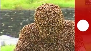 Видео: облепленный пчелами китаец просидел час неподвижно